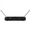 LD Systems WS ECO2x2 BPH drahtloses Mikrofon