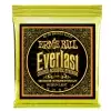 Ernie Ball 2556 Coated 80/20 Bronze Saiten fr Westerngitarre 12-54