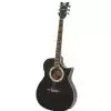 Schecter SGR SA1 BLK