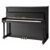 AN T.Piano Up 113 Piano