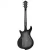 Ibanez DN 520 SSB Darkstone E-Gitarre