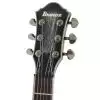 Ibanez DN 520 SSB Darkstone E-Gitarre