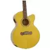 Epiphone Joan Sebastian Sonador Westerngitarre (mit Tonabnehmer)
