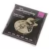 Duesenberg DS011 Saiten fr E-Gitarre