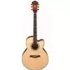 Ibanez AEL40S DVS Westerngitarre (mit Tonabnehmer)