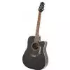 Takamine EG321C Westerngitarre (mit Tonabnehmer)