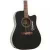 Takamine EG321C Westerngitarre (mit Tonabnehmer)