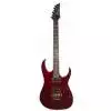 Ibanez RG-320FAWN E-Gitarre