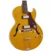 Epiphone Sorrento 1962 anniversary NA E-Gitarre