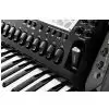 Roland FR 8 x Black Akkordeon