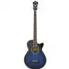 Ibanez AEGB20E TBS Westerngitarre (mit Tonabnehmer)