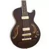 Ibanez AGB 200 TBR Bassgitarre