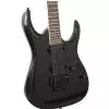 Ibanez RGD320Z BK E-Gitarre