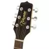 Takamine EG523SC jumbo Westerngitarre (mit Tonabnehmer)
