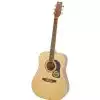 Washburn D10S Westerngitarre