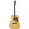 Washburn D10S Westerngitarre