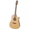 Takamine Series P3DC DRD Westerngitarre (mit Tonabnehmer)