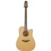 Takamine Series P3DC DRD Westerngitarre (mit Tonabnehmer)