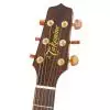 Takamine Series P3DC DRD Westerngitarre (mit Tonabnehmer)