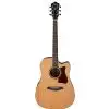 Ibanez V74ECE OPN Westerngitarre (mit Tonabnehmer)