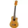 Washburn U50 LCE N