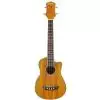 Washburn U50 LCE N