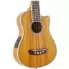 Washburn U50 LCE N