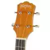 Washburn U50 LCE N