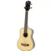 Washburn U30 N