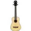 Washburn U30 N