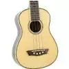 Washburn U30 N