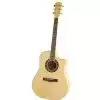 Fender T-Bucket 400-CE Flame Maple Westerngitarre (mit Tonabnehmer)