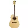 Fender T-Bucket 400-CE Flame Maple Westerngitarre (mit Tonabnehmer)