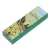 Hohner 56/96-C/G Echo Mundharmonika