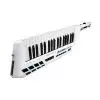 Alesis Vortex Keytar Controller-Tastatur