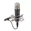 Samson MTR 101a