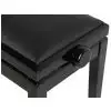 Grenada BG 4 double piano bench, gloss black, vinyl drubbing