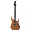 Ibanez RG 421 MOL E-Gitarre