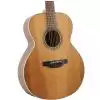 Takamine GN20-NS Westerngitarre