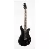 PRS Santana SE E-Gitarre