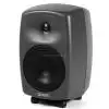 Genelec 8020AP Lautsprecher-Paar