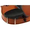 Stentor 1018 / A Standard 4/4 Violine (Tasche + Bogen)