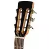 Ibanez AVD 1 NT Westerngitarre