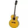 Epiphone Joan Sebastian Triunfador Westerngitarre (mit Tonabnehmer)