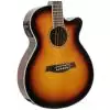 Ibanez AEG 10 II VS Westerngitarre (mit Tonabnehmer)