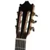 Ibanez G850 NT Konzertgitarre