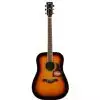 Ibanez AW300 VS Westerngitarre