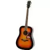 Ibanez AW300 VS Westerngitarre