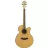 Ibanez AEL 20 E NT Westerngitarre (mit Tonabnehmer)
