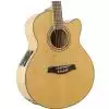Ibanez AEL 20 E NT Westerngitarre (mit Tonabnehmer)